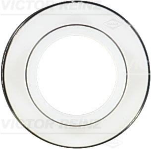 Seal Ring, valve stem